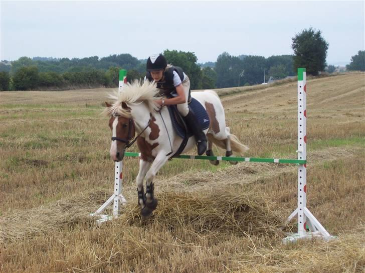 DSP Pedersmindes Ofelia<3 - Opvarmnings spring på ca. 80 cm... . Foto: Mor 2008 billede 13