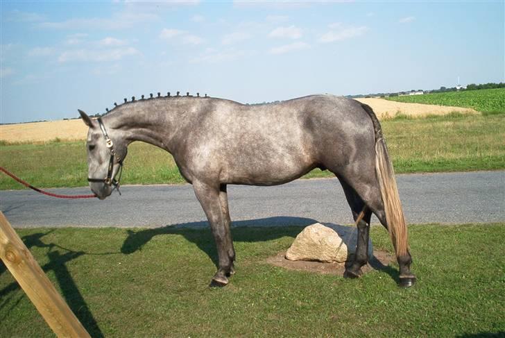 Oldenborg Madame Fleur billede 1