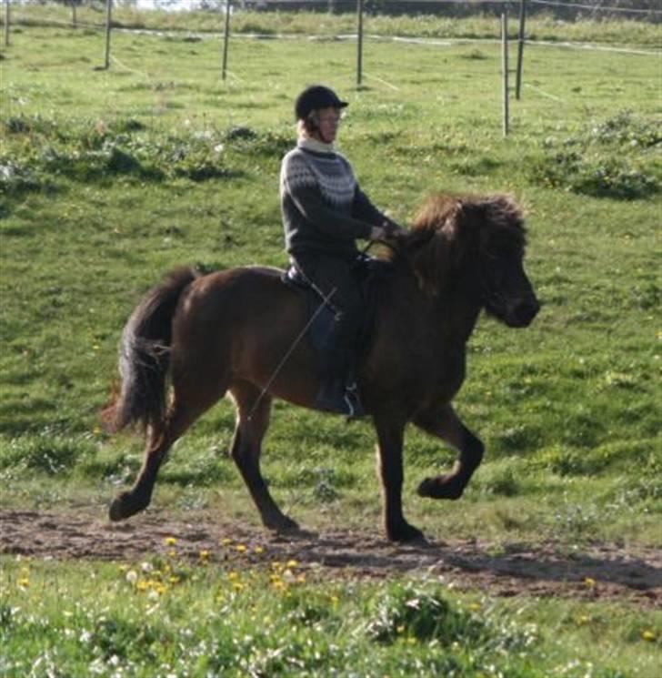 Islænder Dúna fra Odal <3 - Mig og Dúna  d. 16/6 2007 <3 billede 13