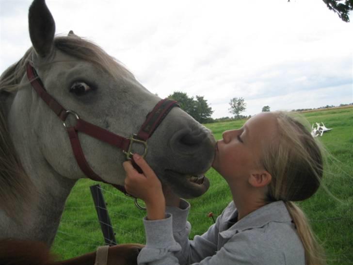 Anden særlig race Philip. Solgt&Savnet - Må jeg få et kys skat ? <´3 billede 3