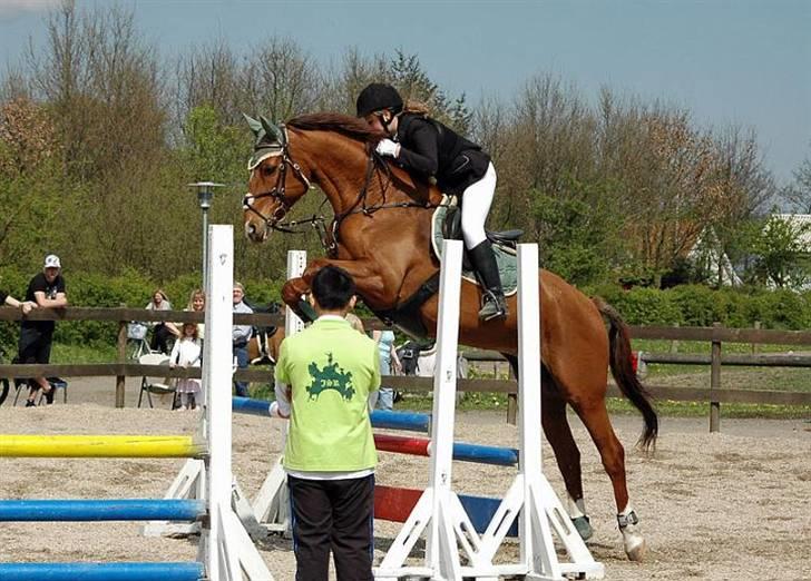 Hannoveraner Løth's Ami (solgt) - springstævne (: <3 billed taget af Cecilie (Chaos) (: billede 18
