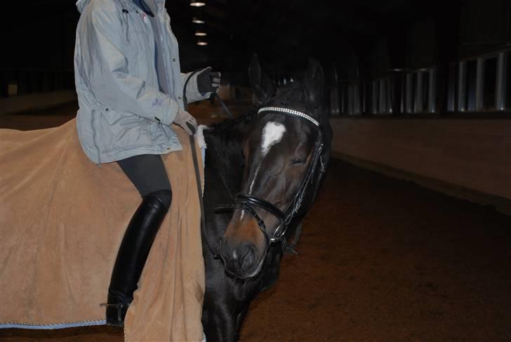 Oldenborg Salina - Stadig snestorm billede 6