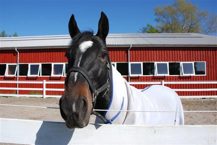 Oldenborg Salina - Øhh Mad?? billede 10