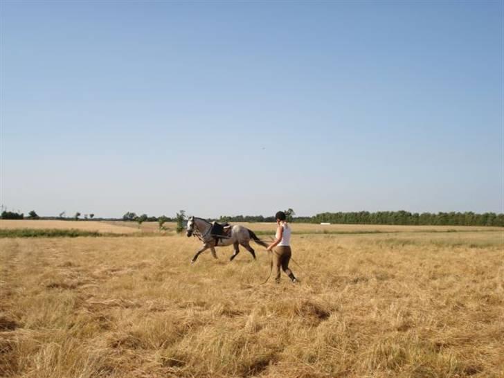 Anden særlig race Teilmandsmindes Sharocko†14.05.2012† billede 15