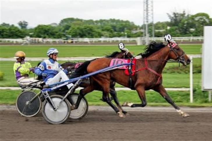 Traver Alv Peacepipe - endnu en sejr i Østrig billede 8