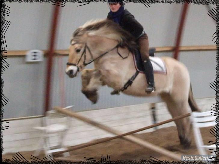 Fjordhest Bjarke Sax - Min fjolle kan ihvertfald godt springe da ! (; Vinteren 07, udklip fra video. billede 13