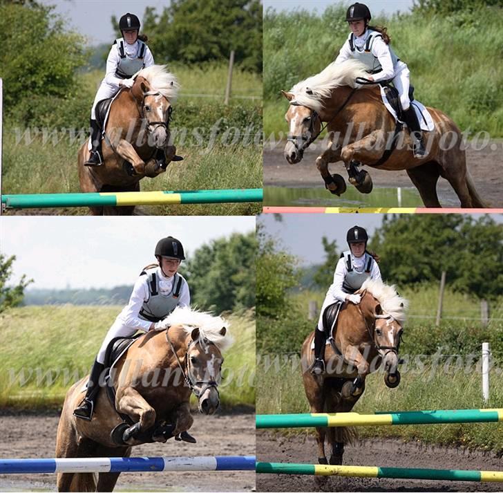 Haflinger 8930819 Ursula *R.I.P* - Usse og jeg til klubmesterskab; 17/6-07 billede 2