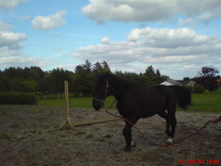 Oldenborg Guri (død) :( billede 8