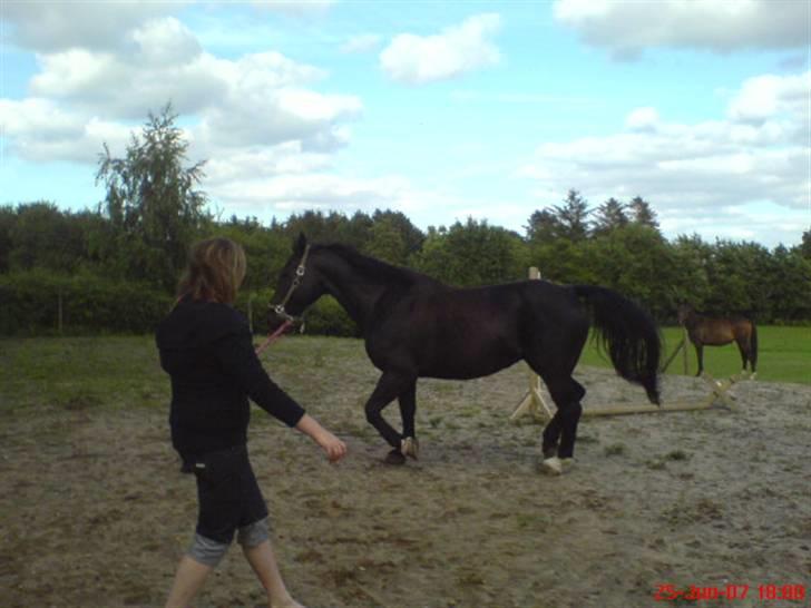 Oldenborg Guri (død) :( billede 9