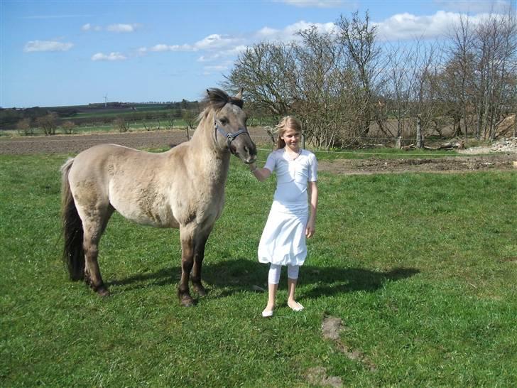 Anden særlig race Lukas - 18) Min konfirmation billede 19