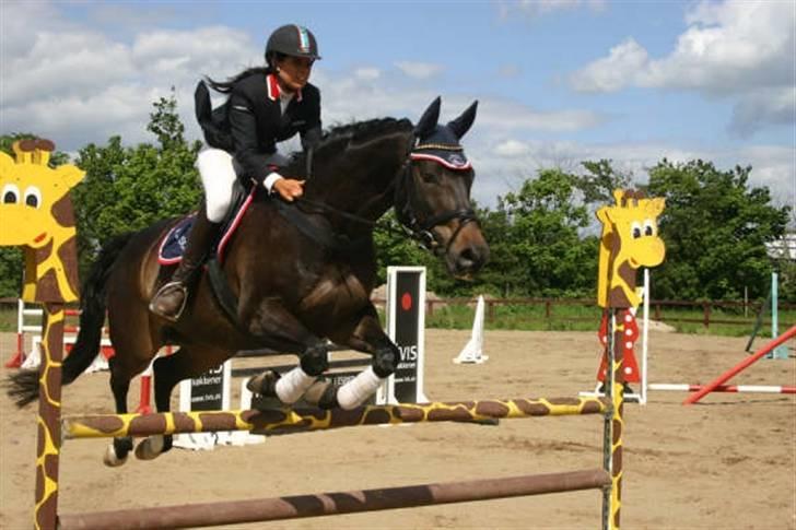 Dansk Varmblod Haiko Skovvang - Spring stævne ØGR Trine og Haiko billede 17