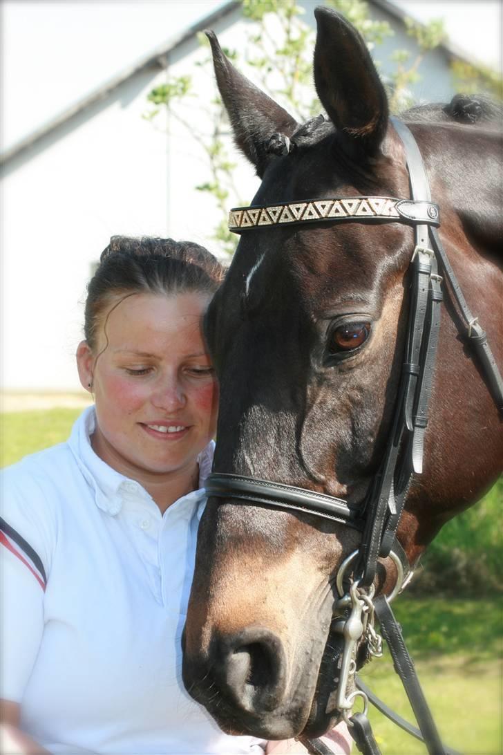 Dansk Varmblod Haiko Skovvang - Haiko og hans "mor"  . . . .  billede 20
