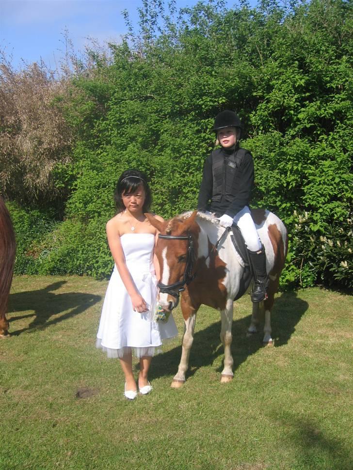 Anden særlig race Bess (gammel part) <3 - Til min konfirmation. 4. maj 2007 :D billede 13
