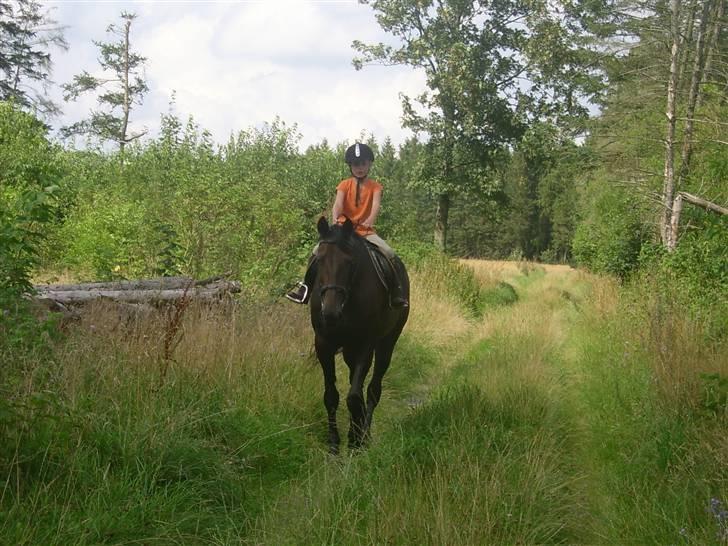 Traver greedynes - så ridder søs (på 8 den gang 7) da lige i skoven på den store farlige traver!!! billede 6