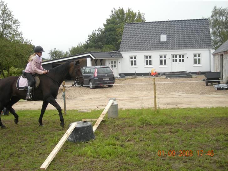 Traver greedynes - på vej over xD hehe billede 7