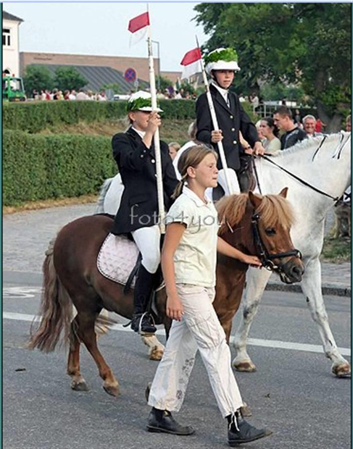 Shetlænder jeppe billede 9
