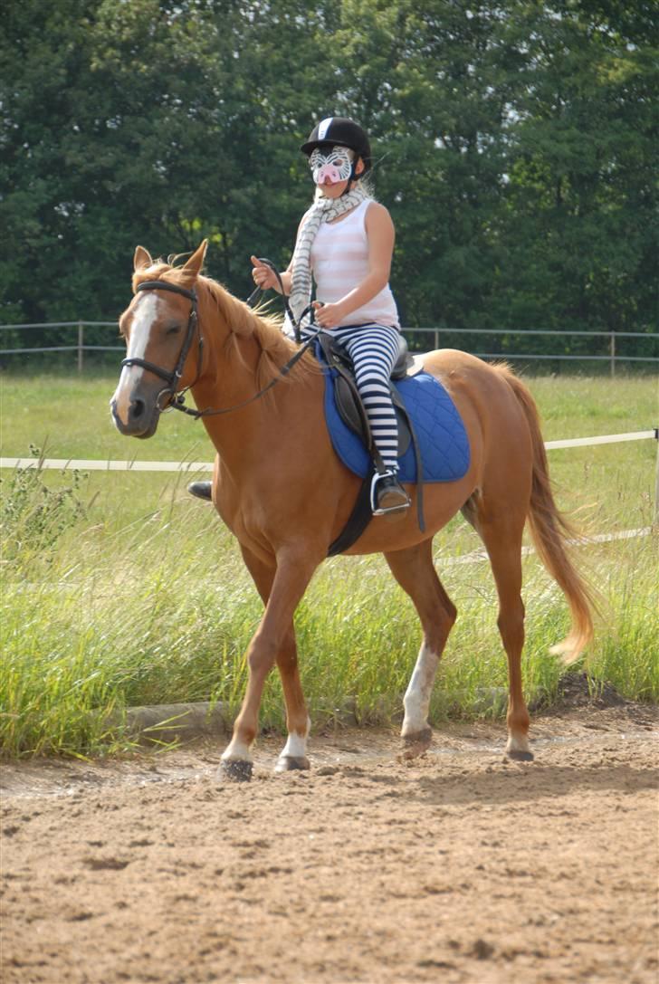 Anden særlig race Alanya - 2007 ridelejr. Udklædnings konkurrence. Karoline på Lany :) Foto: Mikkel Urup billede 6