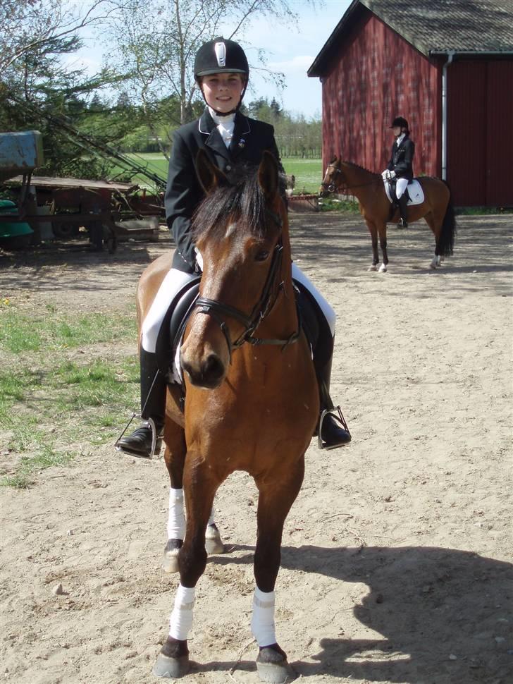 Anden særlig race Havana - Banana og mig til stævne <3:) billede 2