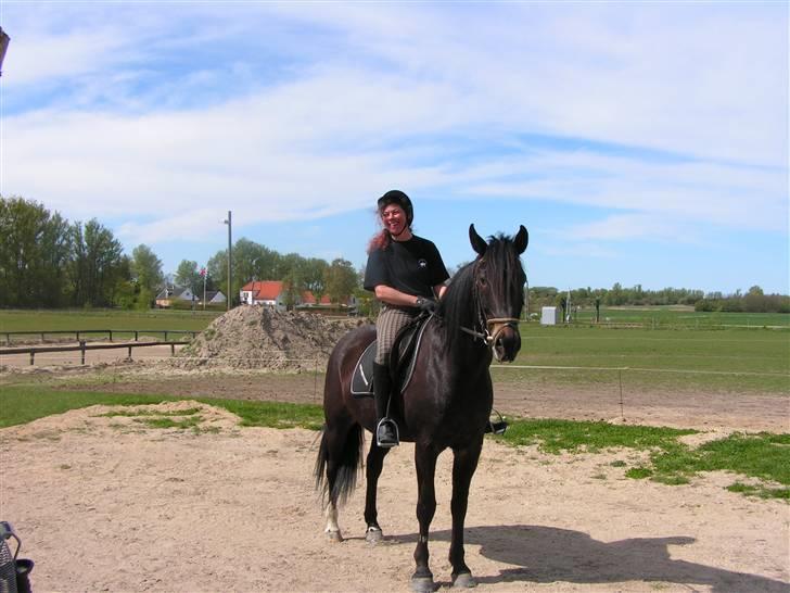 Holstener Ravel (flyttet) - Der kan nu falde nogle sjove bemærkninger billede 13