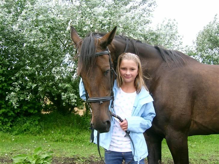 Traver greedynes - hun ved jeg har godbider i lomen billede 10