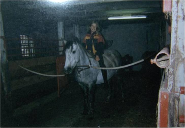 Anden særlig race Sammie * MIN FØRSTE HEST* - Sammie, min skat .. (gammelt billede) billede 10