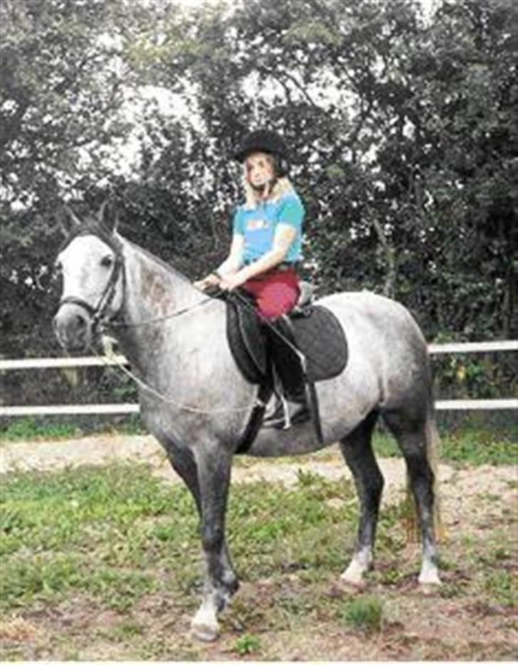 Anden særlig race Sammie * MIN FØRSTE HEST* - Sammie, min skat .. (gammelt billede) billede 11