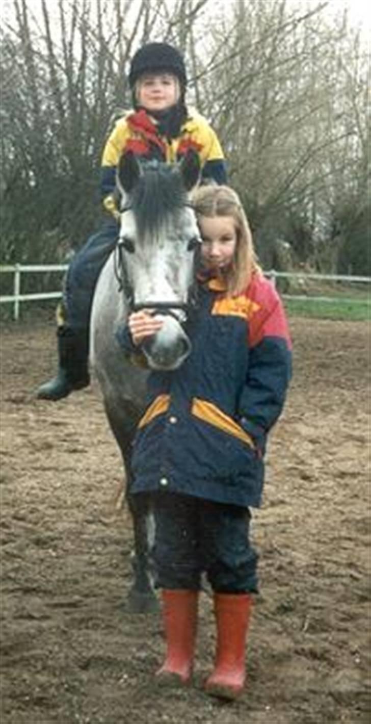 Anden særlig race Sammie * MIN FØRSTE HEST* - Sammie, min skat .. (gammelt billede) billede 12