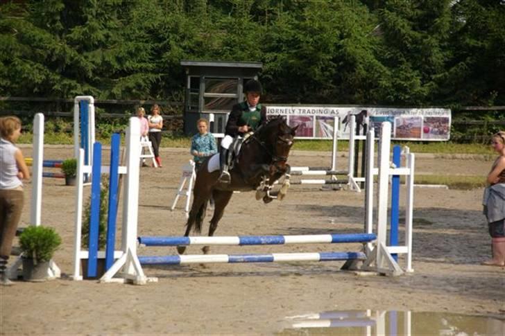 Welsh Pony (sec B) Skovbjergs Marcus(Solgt) billede 5