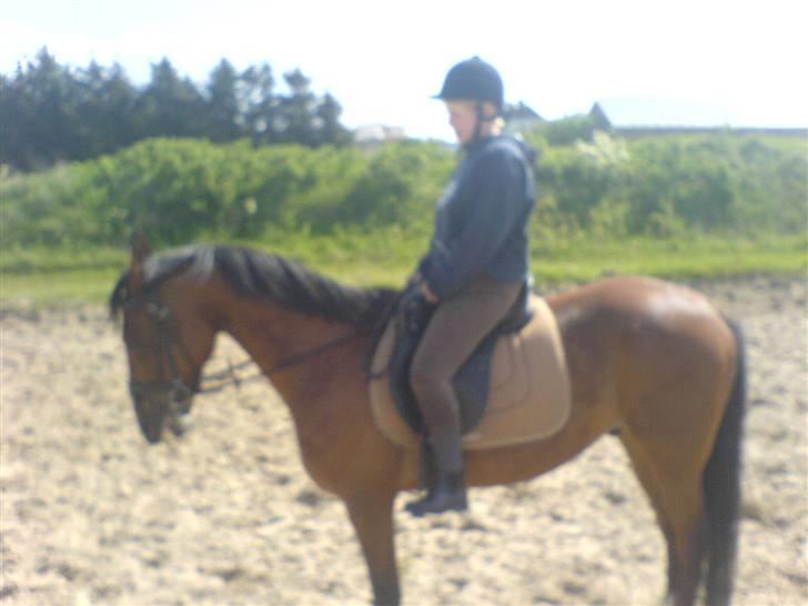 Traver Star Blixt *solgt* - Mig og stubbe billede 11