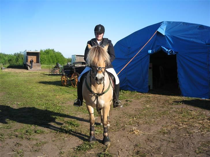 Fjordhest Santa <3 R.I.P  - Fjordheste stævne på Birken den 1-2-3 Juni  07 billede 7