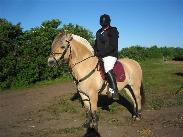 Fjordhest Santa <3 R.I.P  - Fjordheste stævne på Birken den 1-2-3 Juni  07 billede 8