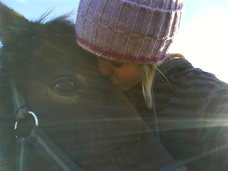 Pinto Indy  - Kys mig, og lås mig fast til det her øjeblik!! 4-evigt Indy!!! <3 billede 12