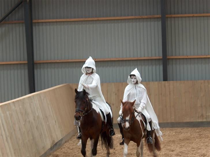 Anden særlig race Skouvgaardens Twisster billede 12