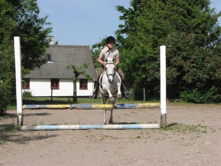 Anden særlig race fazet(gammel part)... - mig og fazet den sidste dag jeg red hende, 2008...:-( billede 6
