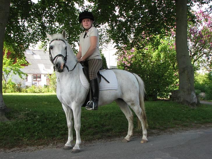 Anden særlig race fazet(gammel part)... - fazet d 23.05.08... billede 7