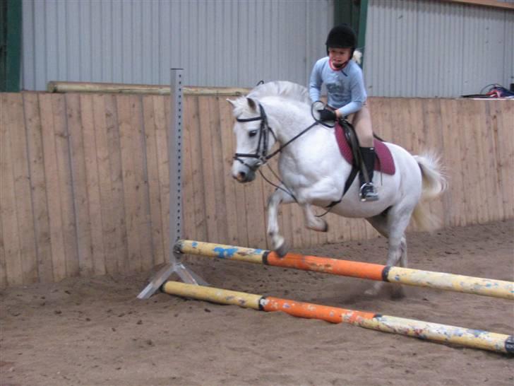 Anden særlig race fazet(gammel part)... - mig og fazet 2004... billede 8