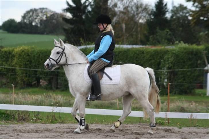 Anden særlig race fazet(gammel part)... - lige et gammelt billede jeg fandt. Jeg savner dig fazzen :* billede 9