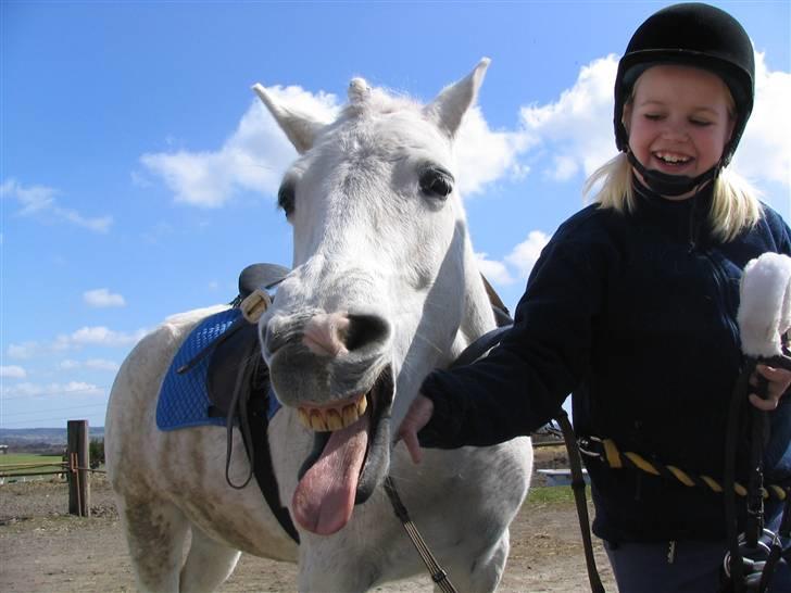 Anden særlig race fazet(gammel part)... - fjollehesten... billede 13