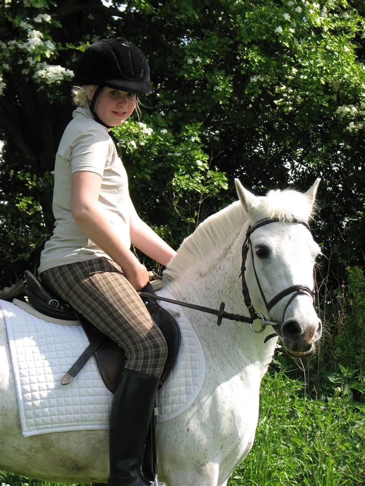 Anden særlig race fazet(gammel part)... - fazet d 23.05.08... billede 15