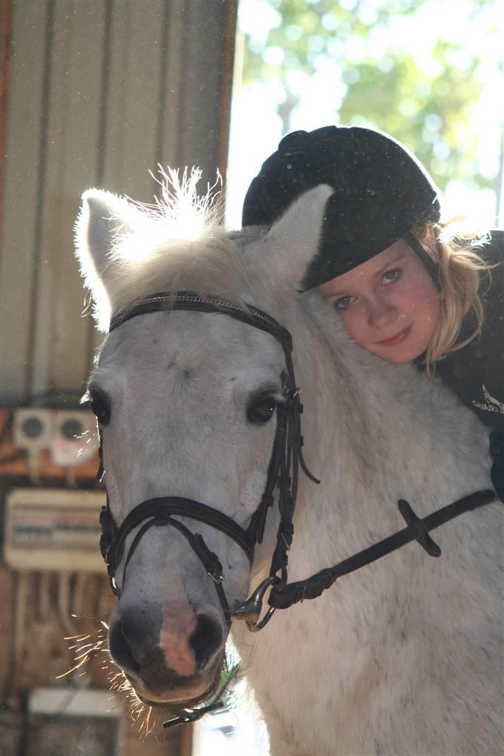 Anden særlig race fazet(gammel part)... - dejlige fazet... billede 17