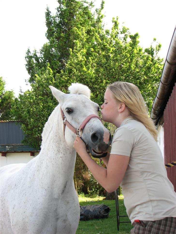Anden særlig race fazet(gammel part)... - glemmer dig aldrig fazet...  billede 18