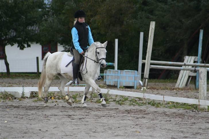 Anden særlig race fazet(gammel part)... - fazet d 12.10.07... billede 20