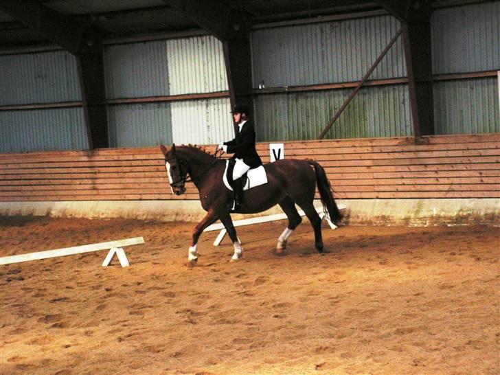 Anden særlig race  R.I.P. Flicka - Flicka og jeg i en LC3 klasse til klub-stævne 2006  billede 11