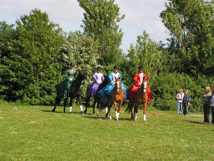 Anden særlig race  R.I.P. Flicka - Flicka (t.v) og Foxy (t.h.) billede 6