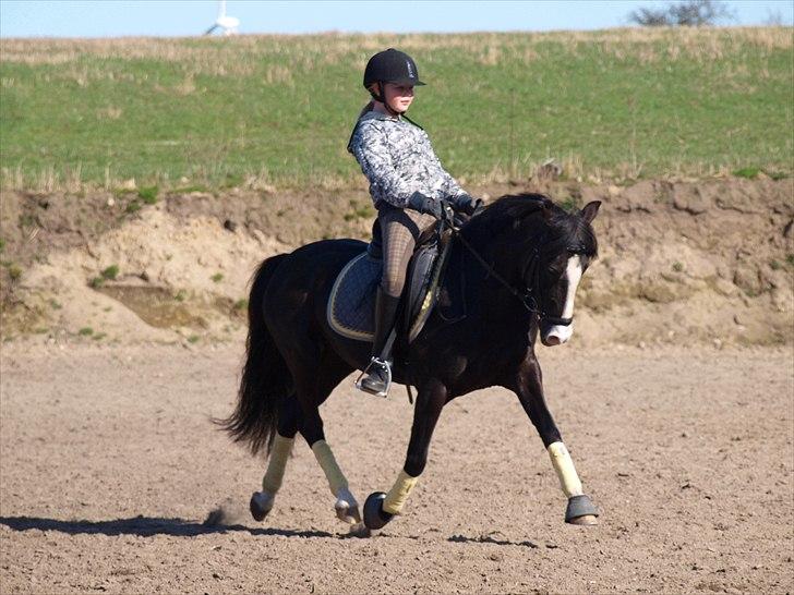 Anden særlig race Blue Eye´D Girl B-pony(x2) - 3#    Julie & Putten dressur træning på banen d. 9 april 2011! <3 Mine to stjerner (´: <3   Foto : Mig billede 3