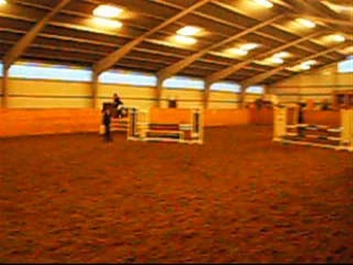 Anden særlig race Zorba<3 - stævne i hinnitus.. billedet er taget fra en video billede 13