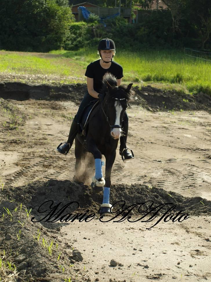 Anden særlig race Blue Eye´D Girl B-pony(x2) - 6#  Prinsessen & Mig over jordbunken :D ! <3. Hun tog den bare i første forsøg!<3   ILY      Foto : Marie A. billede 7