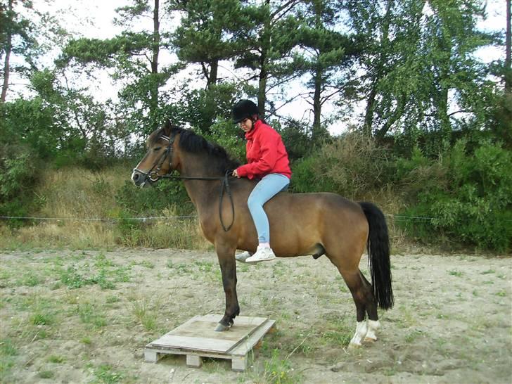 Anden særlig race Zorba<3 - han er slet ikke bange for noget, han stilte sig op på den første gang:) billede 18