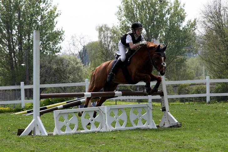 Anden særlig race Lukas - han er bare såååå sød!, og han er igen på banen! billede 3