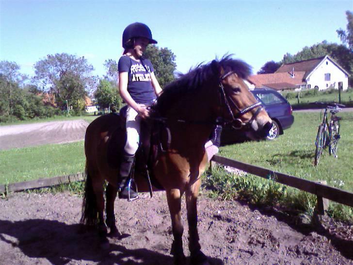 Anden særlig race Buster Larsen *SOLGT* - Mig & Buster. <3 billede 8